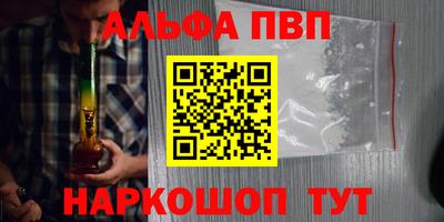 стафф Гусев