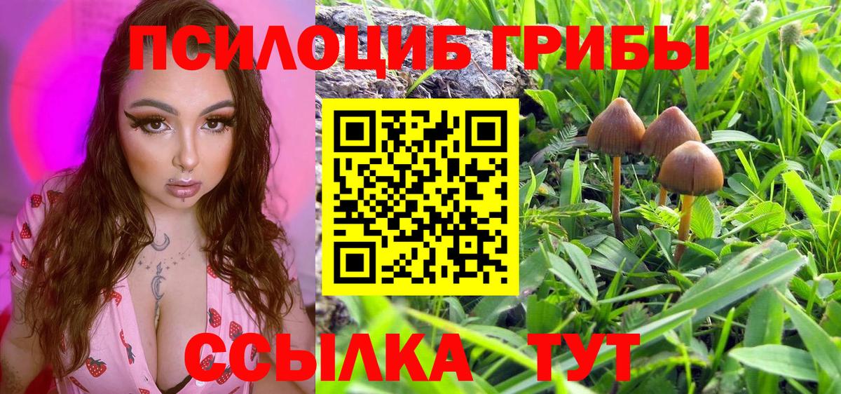 Надым  Галлюциногенные грибы Psilocybine cubensis  Вход с VPN  где можно купить наркотик  Псилоцибиновые грибы Psilocybe 