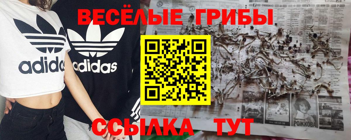 Галлюциногенные грибы мухоморы Надым
