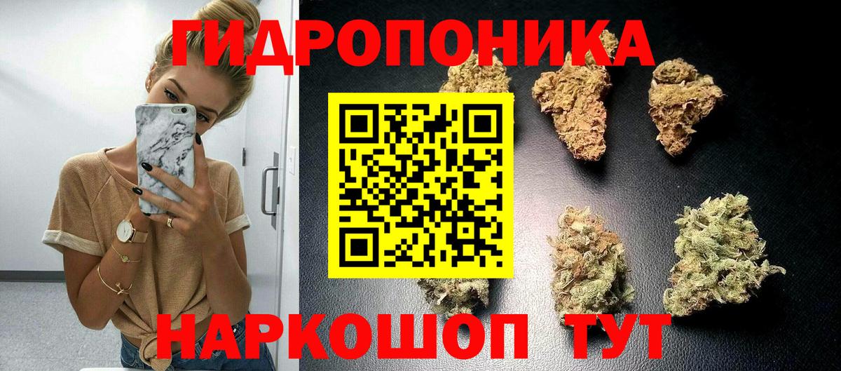 Марихуана конопля  Вход с VPN  Конопля VHQ  Марихуана OG Kush  Надым 